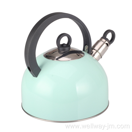 Stainless Steel Whistling Kettle with Handle in Green